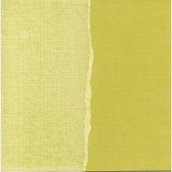 Papel scrapbooking Katydid Core'dinations GX-OG010 | L'aura Bella