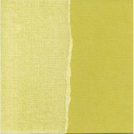 Papel liso para scrapbooking. Katydid. 30 x 30 cm