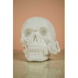 Calavera con una rosa en la boca. Escayola. 12 cm| L'aura Bella