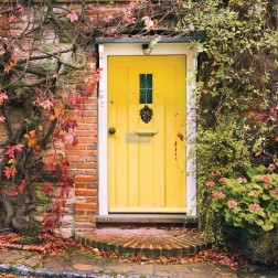 Fleur de Lis II ALDABA. Cast Iron Knocker REDESIGN®  | L'aura Bella