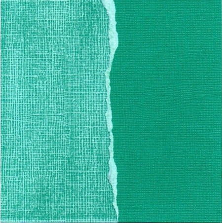 Papel liso para scrapbooking. Seaweed. 30 x 30 cm