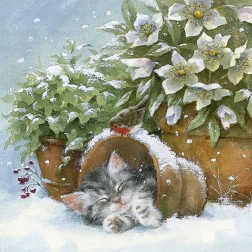 Servilleta para decoupage: Gatito y petirrojo 33x33cm | L'aura Bella