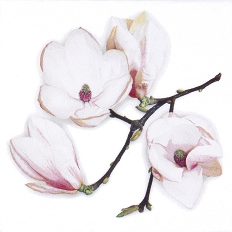 Servilleta para decoupage White Magnolia 33x33cm | L'aura Bella
