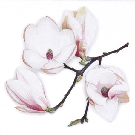 Servilleta para decoupage White Magnolia 33x33cm | L'aura Bella