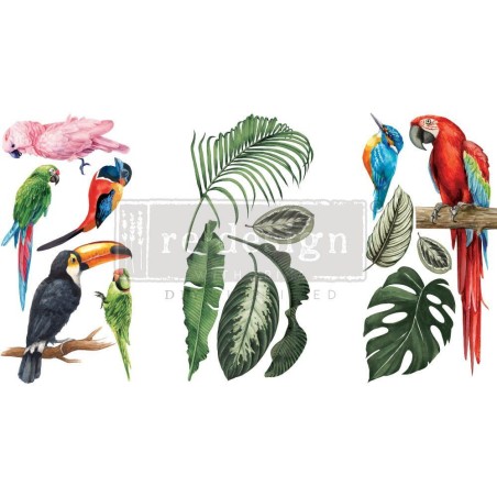 Tropical Birds REDESIGN DECOR TRANSFERS® 657314 | L'aura Bella