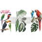 Tropical Birds. Transfer, calcomania REDESIGN DECOR TRANSFERS®