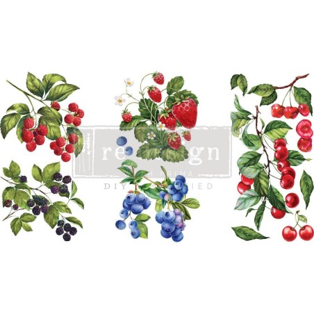 Sweet Berries REDESIGN DECOR TRANSFERS® 657376 | L'aura Bella