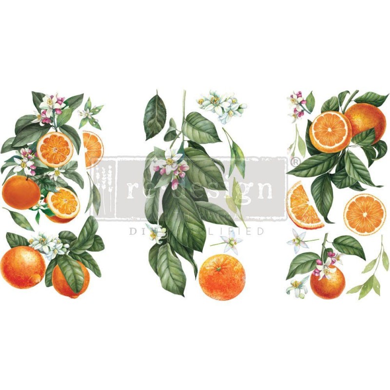 Citrus Slice REDESIGN DECOR TRANSFERS® 657444 | L'aura Bella