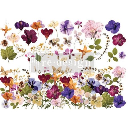 Pressed Flowers REDESIGN DECOR TRANSFERS® 658052| L'aura Bella