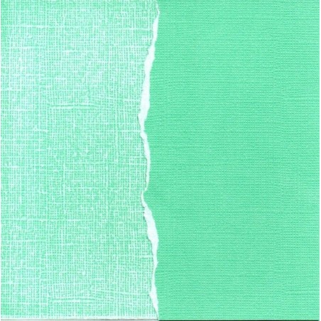 Papel liso para scrapbooking. Leprechan. 30 x 30 cm