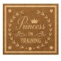 Placa Princess. 14 x 15 cm. Dayka Trade