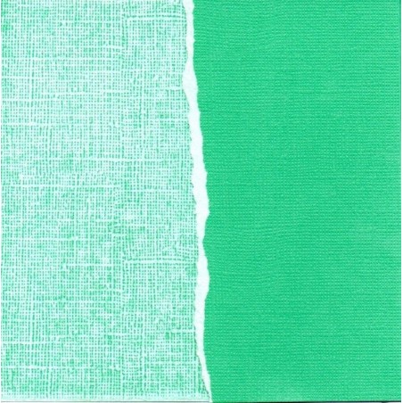 Papel liso para scrapbooking. Kilkenny green. 30 x 30 cm