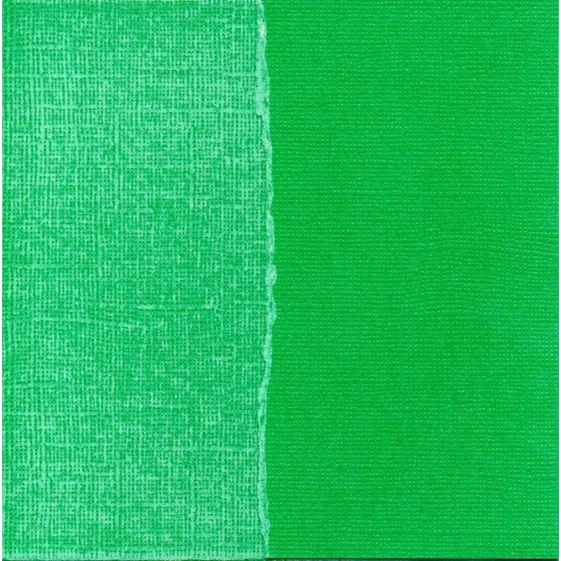Papel scrapbooking Kelly Green Core'dinations GX-SG030 | L'aura Bella
