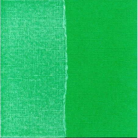 Papel liso para scrapbooking. Kelly Green. 30 x 30 cm
