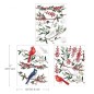 Winterberry. REDESIGN DECOR TRANSFERS® Middy, calcomania