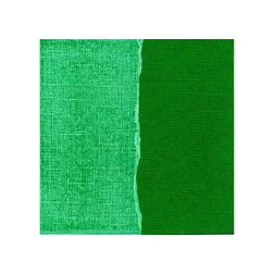 Papel scrapbooking Shamrock Core'dinations GX-SG040 | L'aura Bella