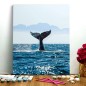 Pintar por números: Cola de Ballena. 40 x 50 cm. Pintura acrílica