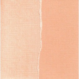 Papel scrapbooking Deco Coral Core'dinations GX-SO010 | L'aura Bella