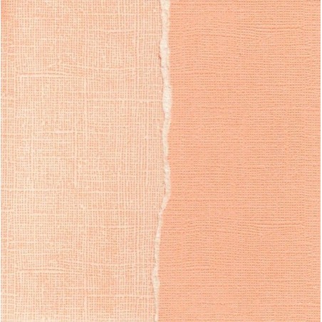 Papel liso para scrapbooking. Deco Coral. 30 x30 cm