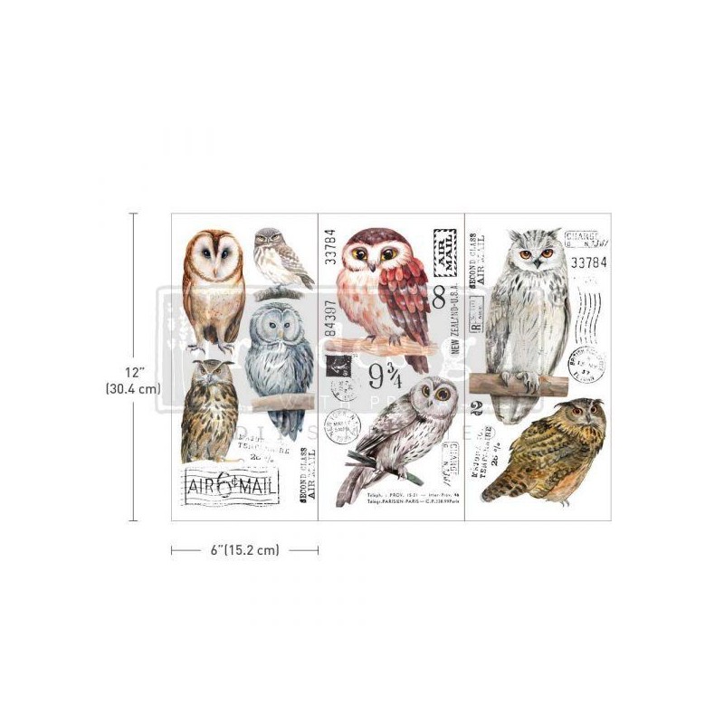 Owl, Búhos y Lechuzas REDESIGN DECOR TRANSFERS® 656010 | L'aura Bella