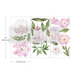 Morning Peonies REDESIGN DECOR TRANSFERS® 653477 | L'aura Bella