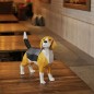 Beagle. KIT DIY Escultura de papel 3D. Papercraft World