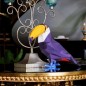 Toucan, Tucán pájaro. KIT DIY Escultura de papel 3D. Papercraft World