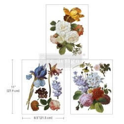 Blossomed Beauties REDESIGN MIDDY DECOR TRANSFERS® | L'aura Bella