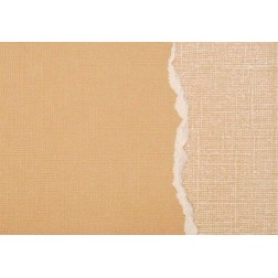 Papel scrapbooking Sand Stone Core'dinations GX-ST030 | L'aura Bella