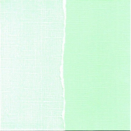 Papel básico scrapbooking. Pistacho. Core'dinations