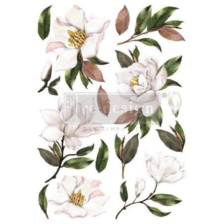 Magnolia Grandiflora REDESIGN DECOR TRANSFERS® 663445 | L'aura Bella