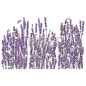 Champs de Lavende. Lavandas. Transfer, calcomania REDESIGN DECOR TRANSFERS®