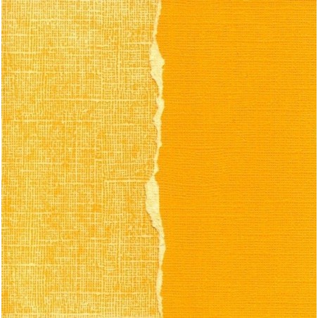 Papel básico scrapbooking. Sunflower. Core'dinations