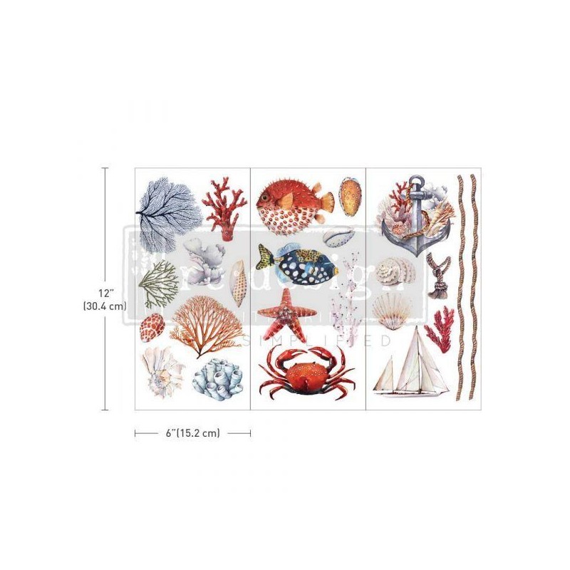 Amazing Sea Life REDESIGN DECOR TRANSFERS® 655945 | L'aura Bella