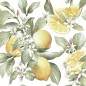 Servilleta para decoupage: Limones. 33x33 cm