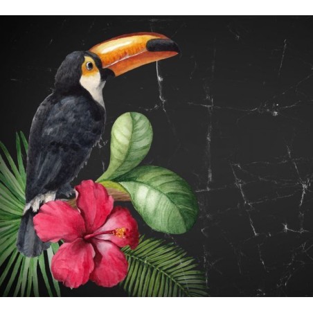 Toucan, tucán. Papel Decoupage Mint by Michelle. A3 | L'aura Bella