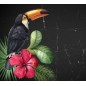 Toucan, tucán. Papel Decoupage Mint by Michelle. A3