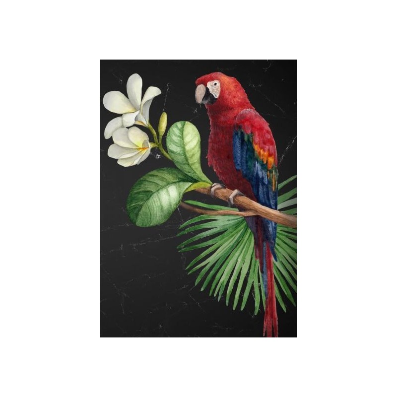 Parrot, loro. Papel Decoupage Mint by Michelle. A3 | L'aura Bella