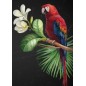 Parrot, loro. Papel Decoupage Mint by Michelle. A3