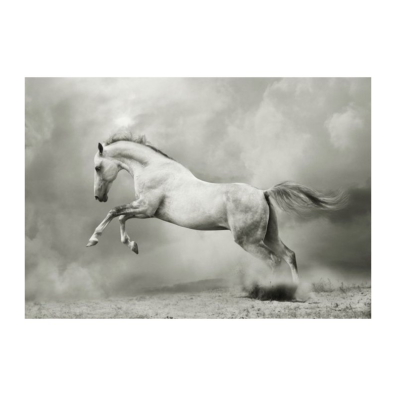 White Horse, caballo. Papel Decoupage Mint by Michelle. A1 | L'aura Bella