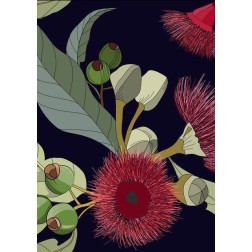 Gumnuts. Papel Decoupage Mint by Michelle. A1 | L'aura Bella