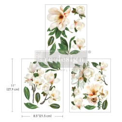 La Gran Magnolia REDESIGN MIDDY DECOR TRANSFERS® 665876 | L'aura Bella