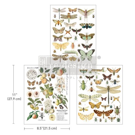 Bug Whisperer. REDESIGN MIDDY DECOR TRANSFERS® 665883 | L'aura Bella