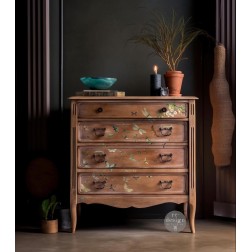 Bug Whisperer. REDESIGN MIDDY DECOR TRANSFERS® 665883 | L'aura Bella