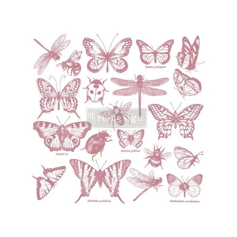 Monarch Collection. Sello DECOR STAMP REDESIGN 650087 | L'aura Bella