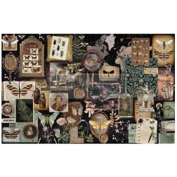 Herbarium Notes. Decoupage Tissue Paper Redesign 665371| L'aura Bella