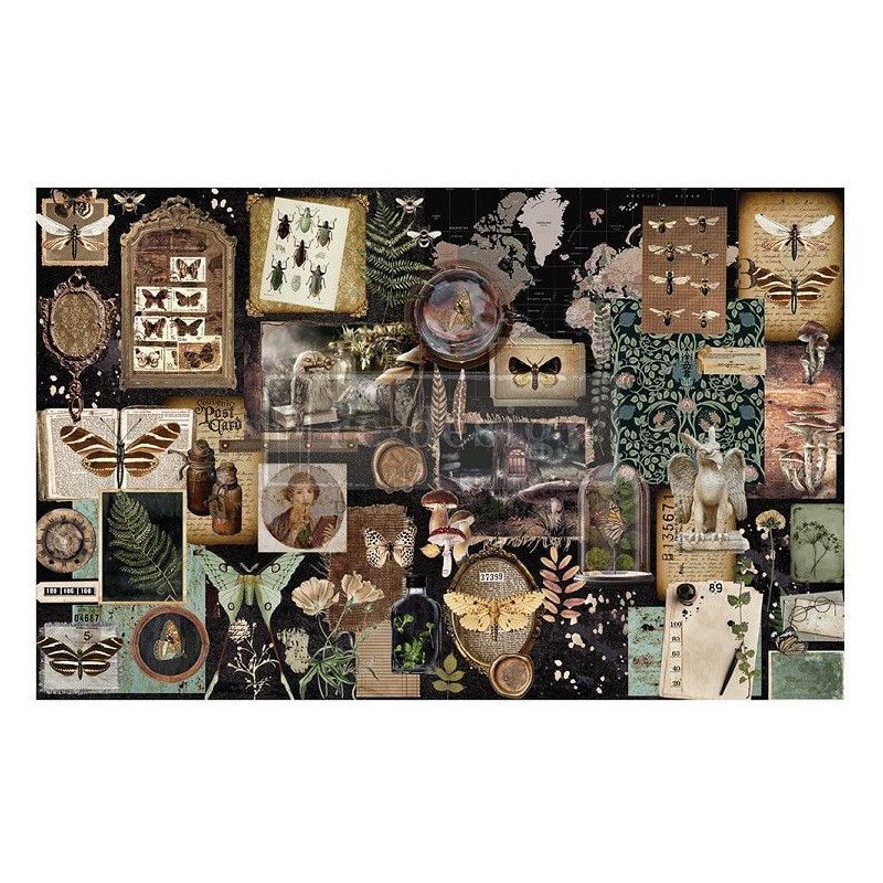 Herbarium Notes. Decoupage Tissue Paper Redesign 665371| L'aura Bella