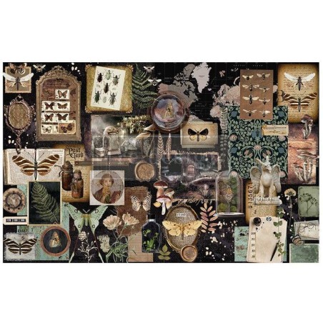 Herbarium Notes. Decoupage Tissue Paper Redesign 665371| L'aura Bella