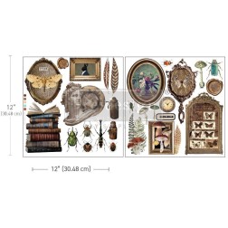 Collector's Closet REDESIGN MAXI TRANSFERS® 665852 | L'aura Bella