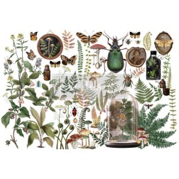 My Findings REDESIGN DECOR TRANSFERS® 665333 | L'aura Bella